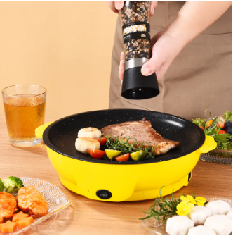 220V Multifunctional Electric Baking Tray